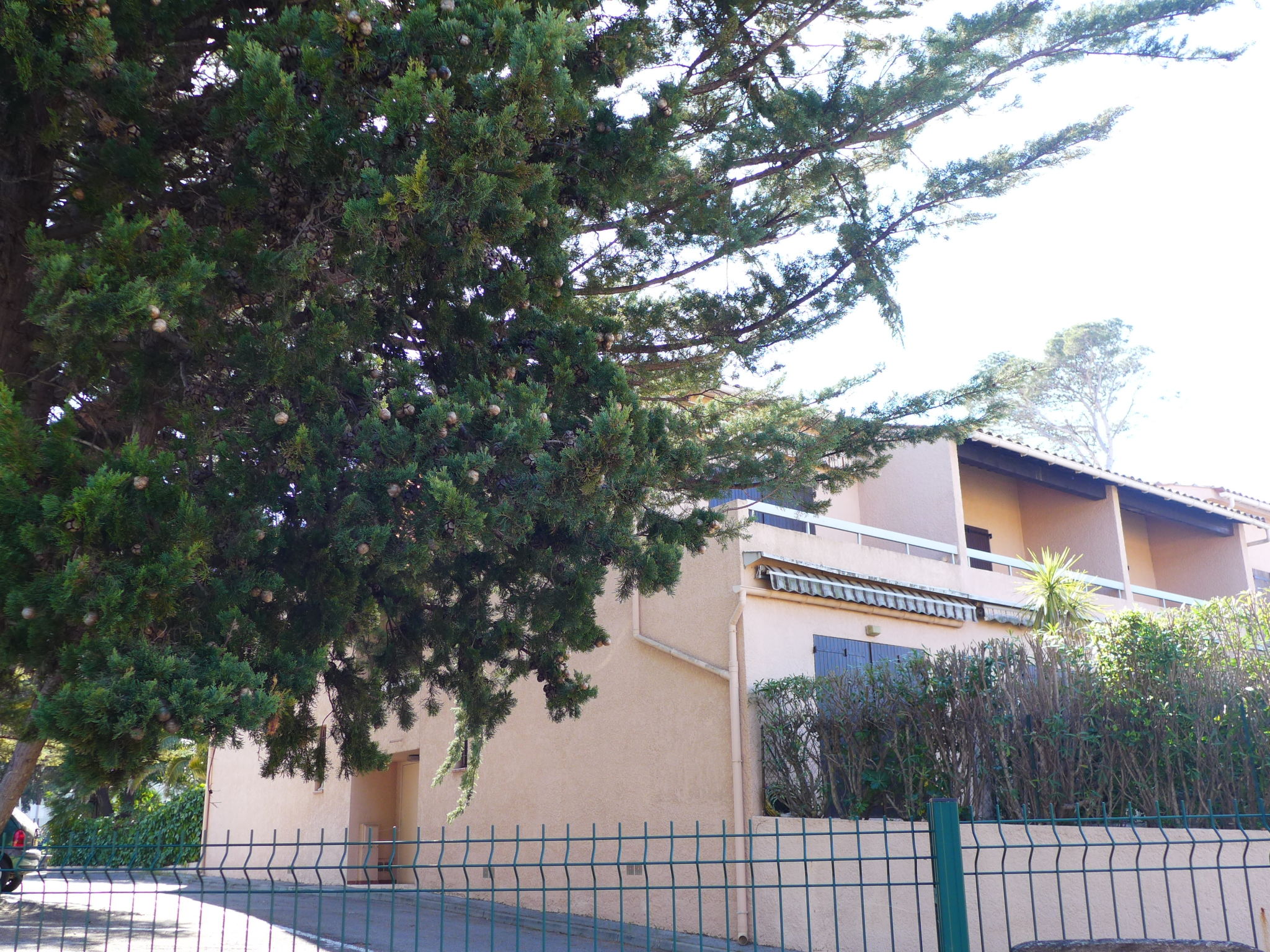 Photo 14 - Apartment in Fréjus with garden and terrace