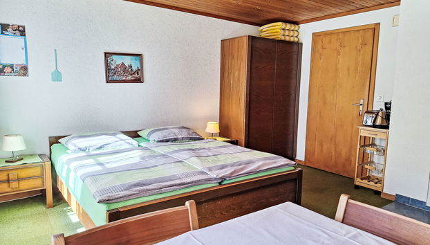 Apartment mit 1 Schlafzimmer in Grindelwald mit garten und sauna - Foto 3