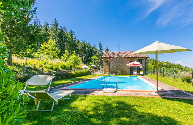 Apartamento de 2 quartos em Pelago com piscina e jardim - Foto 29