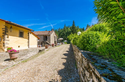 Photo 34 - Appartement de 1 chambre à Pelago avec piscine et jardin