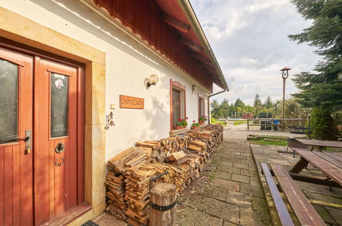 Foto 31 - Casa con 4 camere da letto a Úhlejov con piscina privata e giardino