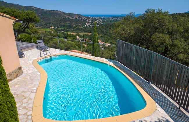 Casa con 4 camere da letto a Bormes-les-Mimosas con piscina privata e giardino - Foto 25