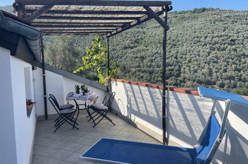 Photo 3 - 2 bedroom Apartment in Dolcedo with swimming pool and garden