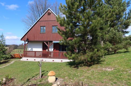 Foto 33 - Casa de 3 habitaciones en Černý Důl con piscina y jardín