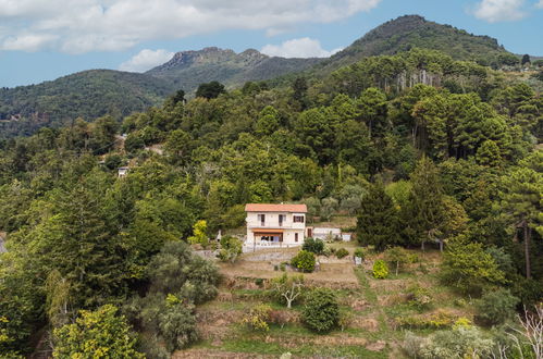 Photo 13 - Maison de 2 chambres à Seravezza avec jardin et vues à la mer