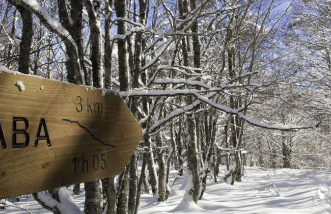 Hotel y Apartamentos SNÖ Isaba - Foto 11
