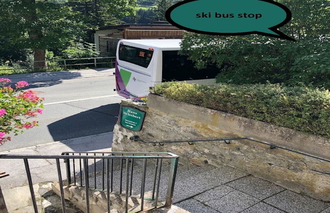Apartamento de 2 quartos em Bad Gastein com jardim - Foto 29
