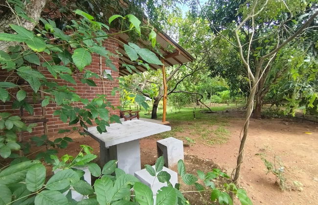 Wilpattu wild villa - Foto 44