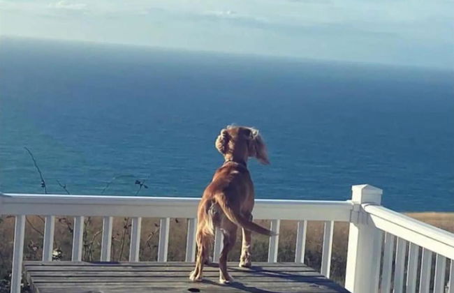 Seaview Chalet-durdledoor-sleeps4to6- Pet Friendly - Foto 20