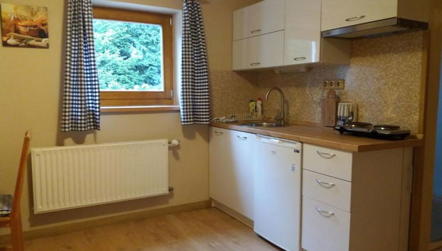 Apartamento de 1 quarto em Harrachov com jardim - Foto 4