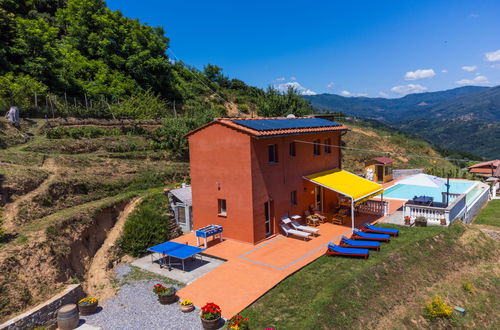 Foto 42 - Casa de 2 quartos em Pescia com piscina privada e jardim