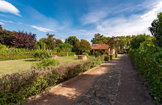 Foto 3 - Casa de 3 quartos em San-Nicolao com piscina privada e jardim