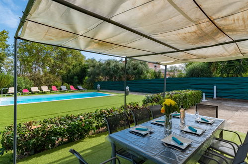 Photo 29 - Maison de 3 chambres à San-Nicolao avec piscine privée et vues à la mer