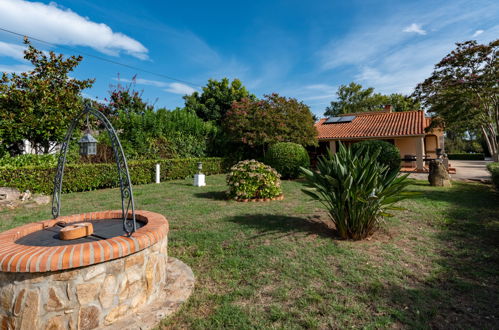 Foto 4 - Casa de 3 quartos em San-Nicolao com piscina privada e jardim