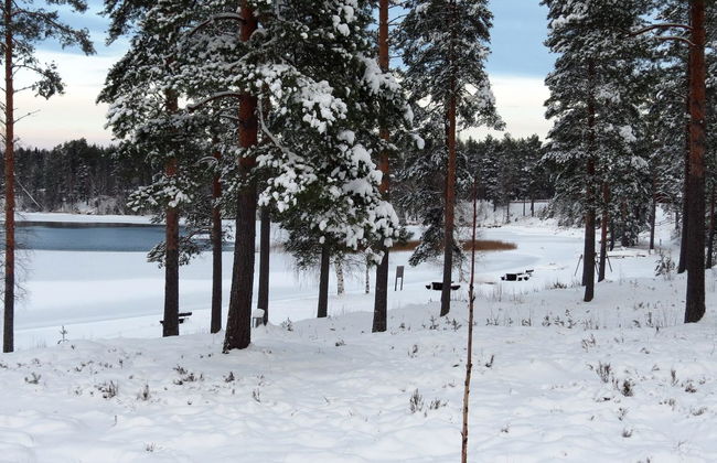 1 bedroom House in Joutsa with sauna - Photo 17