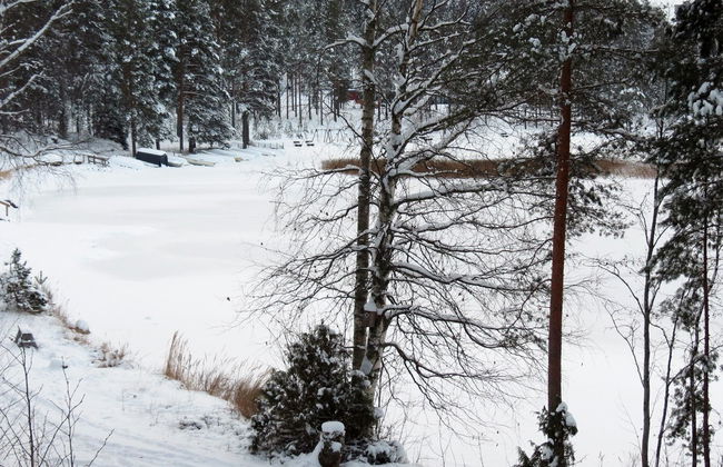 1 bedroom House in Joutsa with sauna - Photo 15