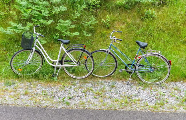 1 bedroom House in Joutsa with sauna - Photo 20