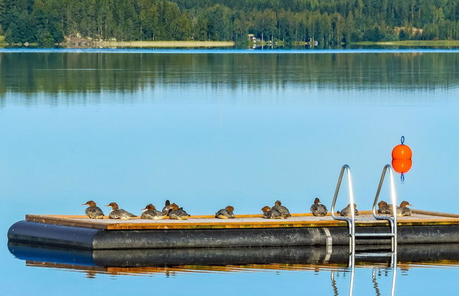 1 bedroom House in Joutsa with sauna - Photo 22