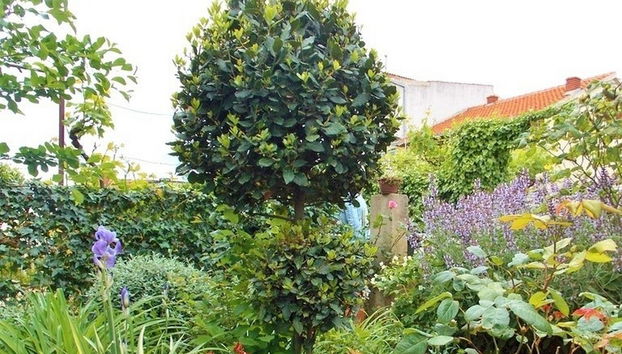 Bakmaz Apartment - Foto 5