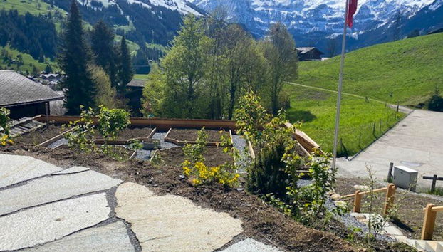 Apartment mit 2 Schlafzimmern in Lenk - Foto 3
