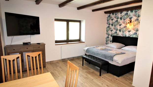Appartamento con 3 camere da letto a Županovice con piscina e giardino - Foto 2