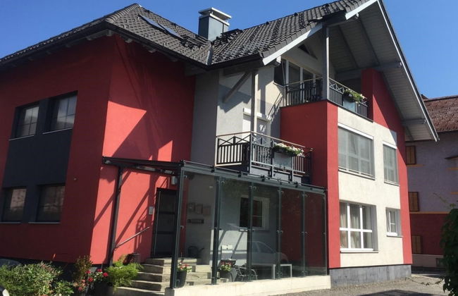 Apartamento de 2 quartos em Saalfelden am Steinernen Meer com jardim e terraço - Foto 1