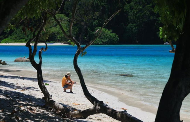 Excursión de un día a la isla Similan en lancha rápida desde Phuket - Foto 3