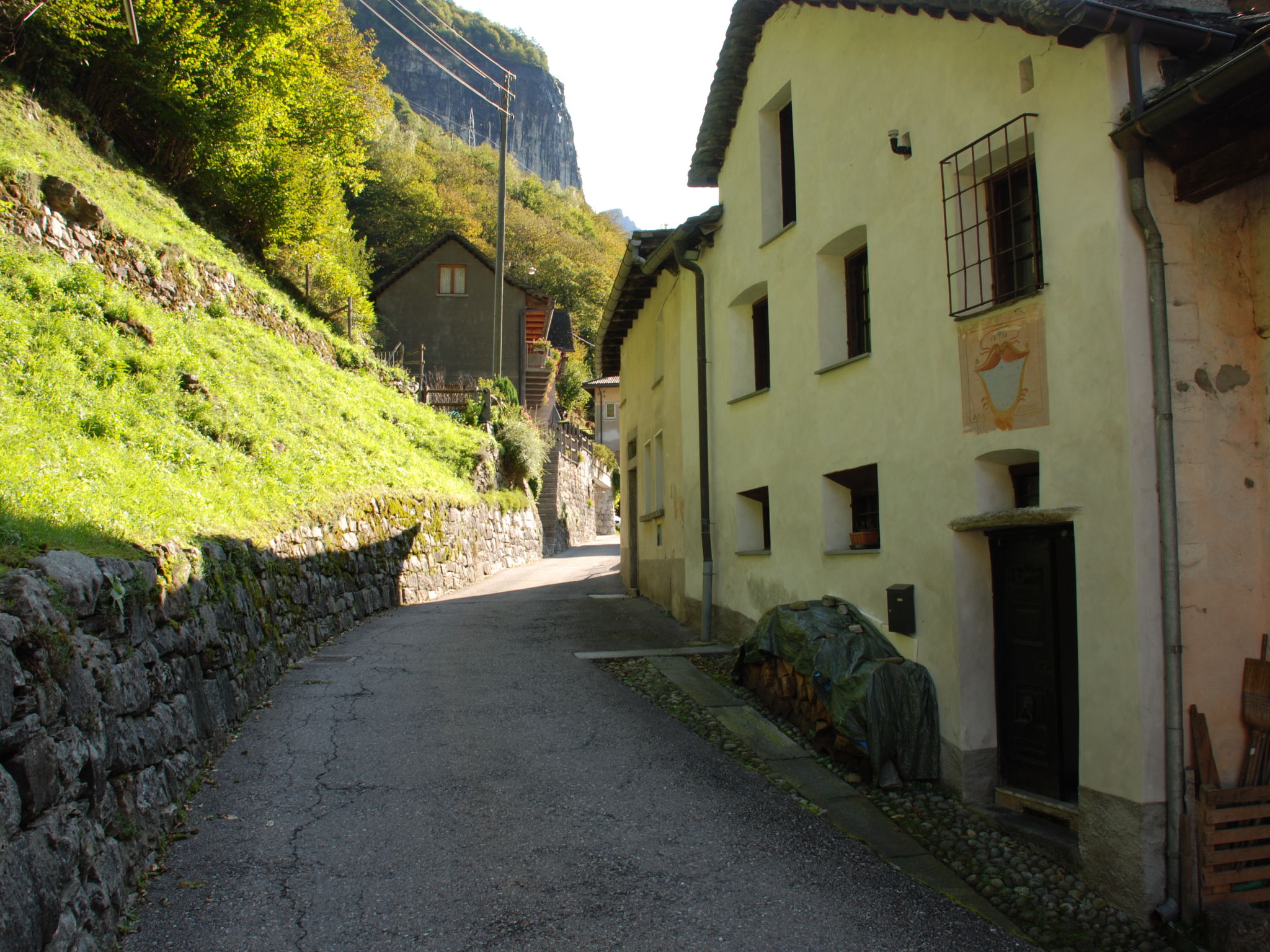 Photo 6 - Maison de 3 chambres à Lavizzara avec jardin et vues sur la montagne