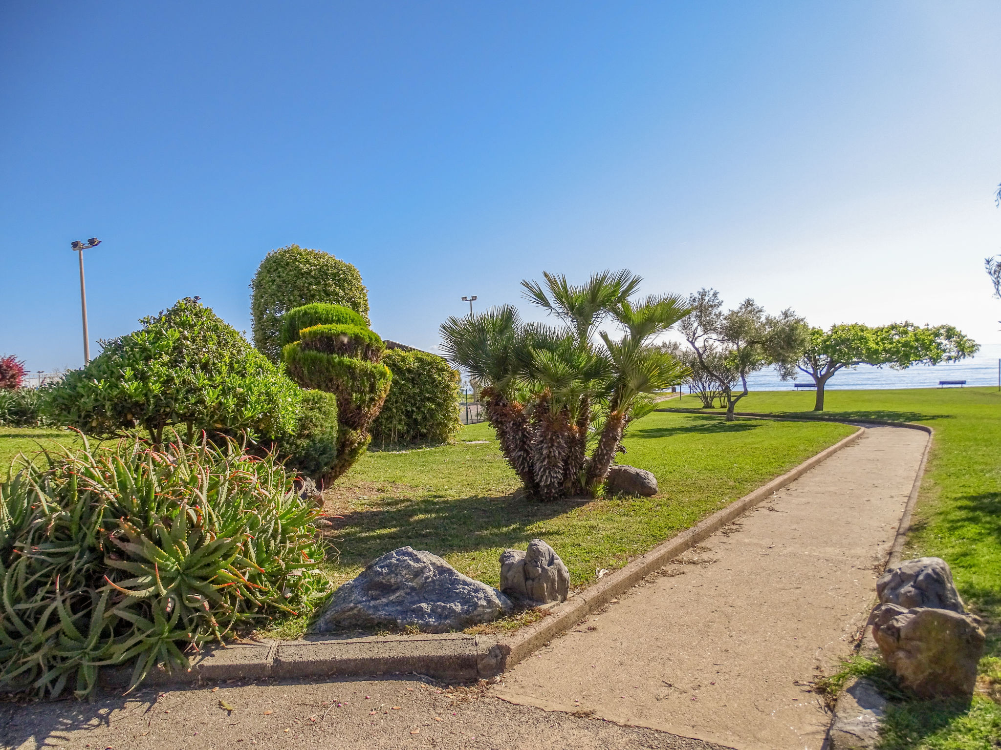 Foto 4 - Casa de 3 quartos em Cervione com piscina e jardim