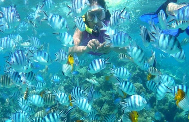 3 Pools in Dahab - Photo 2