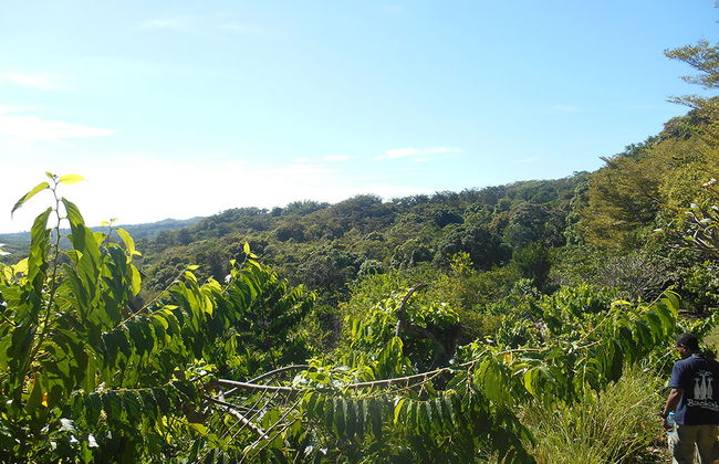 Domaine de Florette - Foto 2