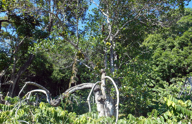 Domaine de Florette - Foto 3