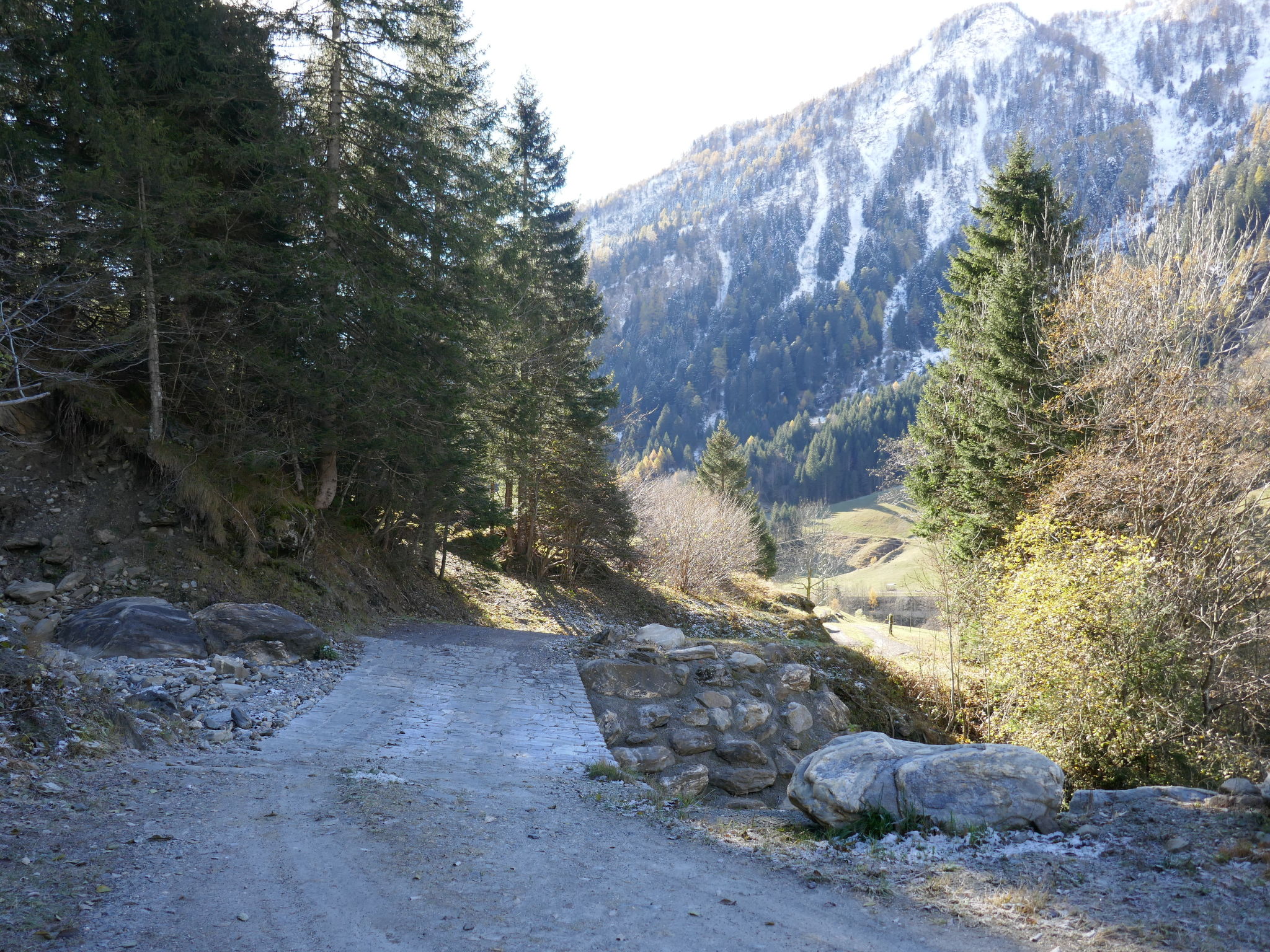 Photo 18 - Maison de 1 chambre à Blenio avec jardin et vues sur la montagne