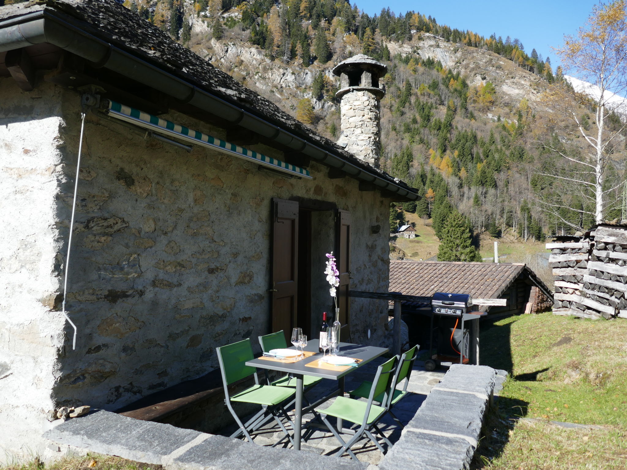 Foto 6 - Haus mit 1 Schlafzimmer in Blenio mit garten