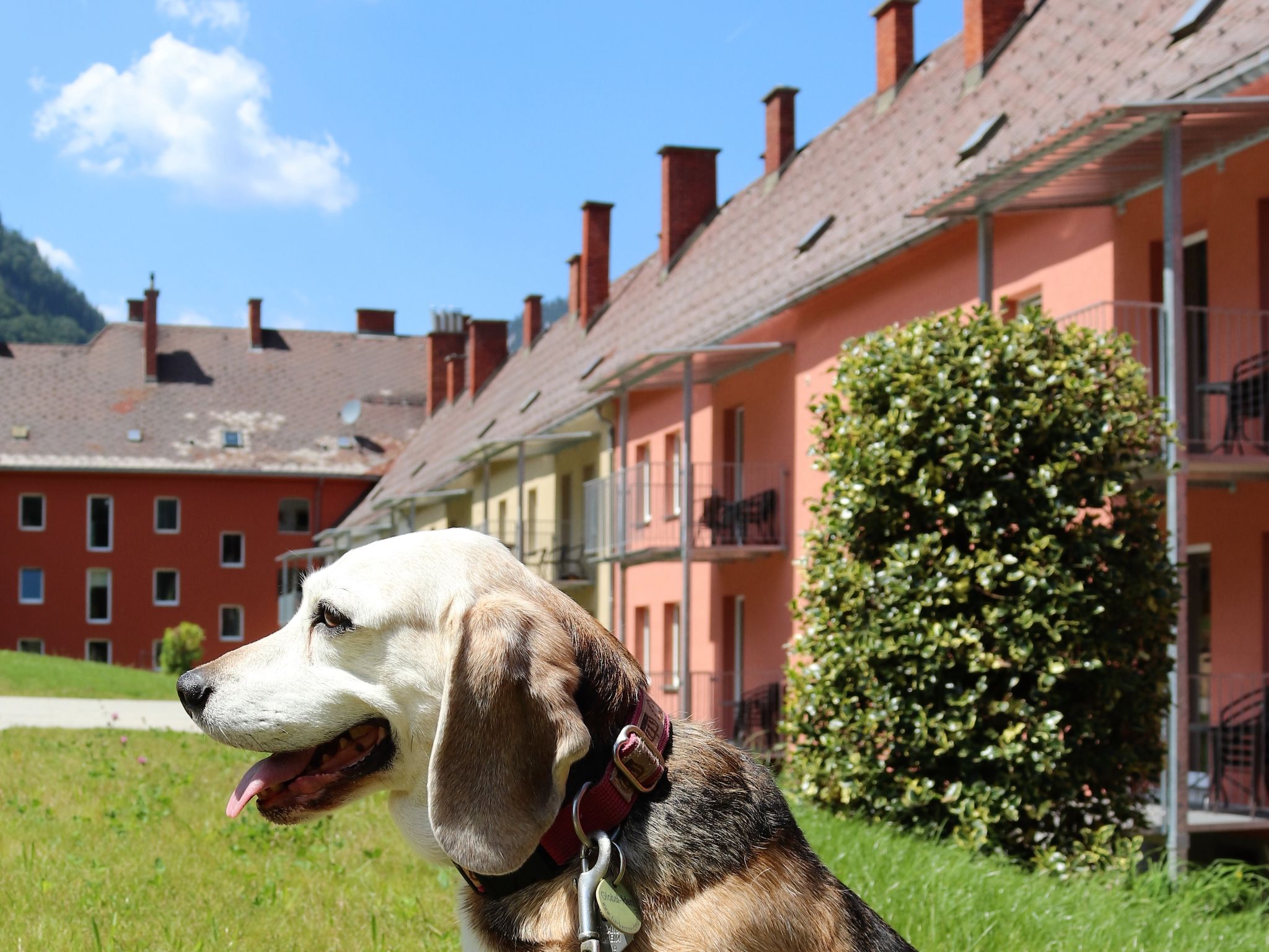 Photo 16 - 2 bedroom Apartment in Eisenerz with garden and mountain view