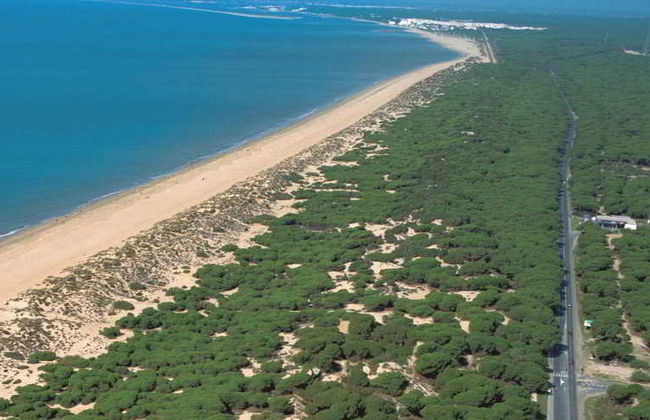 Leo Punta Umbria - Foto 35