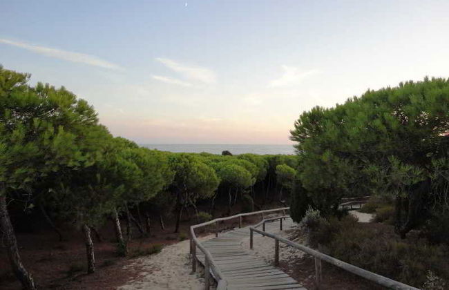 Leo Punta Umbria - Foto 38