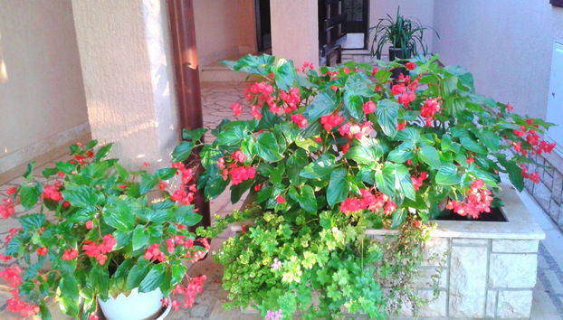 Apartments Miljenko - Foto 3