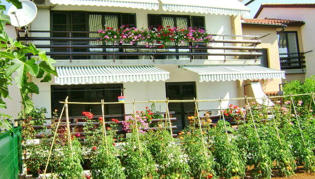 Apartments Miljenko - Foto 4