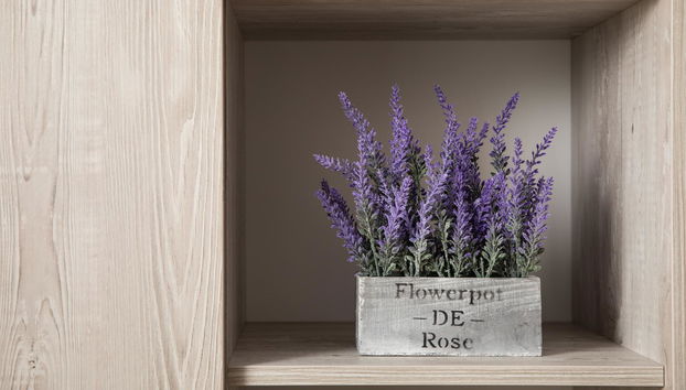 Brasov Holiday Apartments-PURPLE - Foto 3