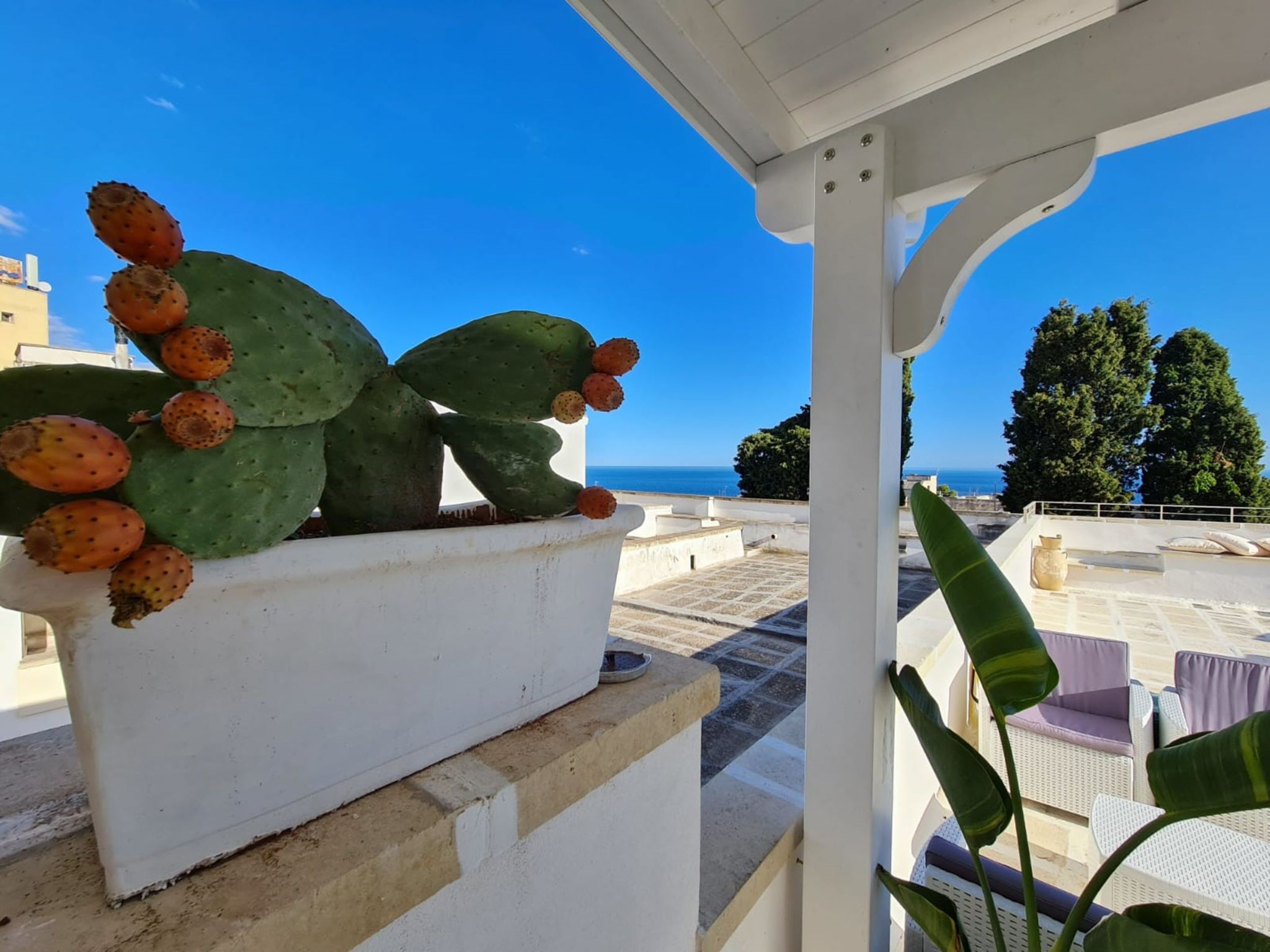 Foto 22 - Appartamento con 1 camera da letto a Santa Cesarea Terme con terrazza e vista mare