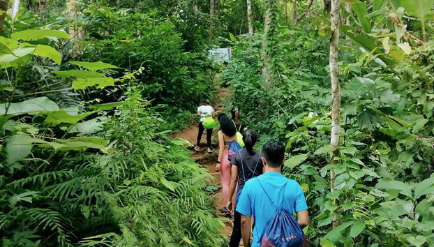 Caminata matutina al amanecer - Foto 3