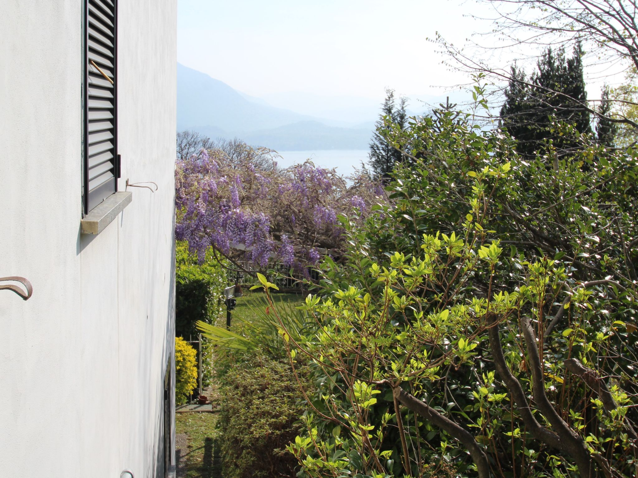 Foto 29 - Casa de 3 habitaciones en Stresa con jardín y vistas a la montaña