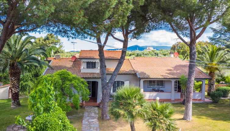 Photo 1 - 2 bedroom Apartment in Casale Marittimo with garden and terrace
