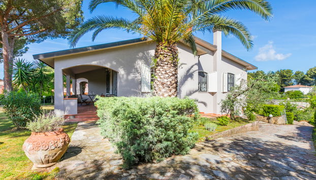 Apartment mit 3 Schlafzimmern in Casale Marittimo mit schwimmbad und garten - Foto 3