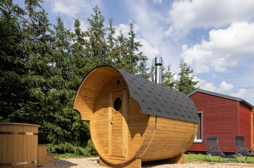 Foto 12 - Casa con 1 camera da letto a Dolní Branná con terrazza e sauna