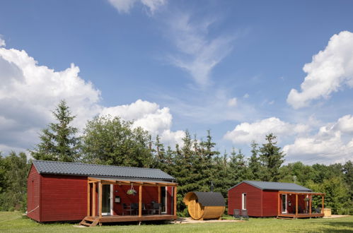 Foto 16 - Casa con 1 camera da letto a Dolní Branná con terrazza e sauna