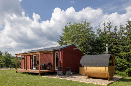 Foto 1 - Haus mit 1 Schlafzimmer in Dolní Branná mit terrasse und sauna