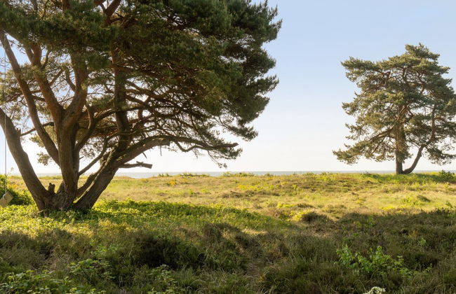 Casa de 4 quartos em Rørvig com terraço e sauna - Foto 15