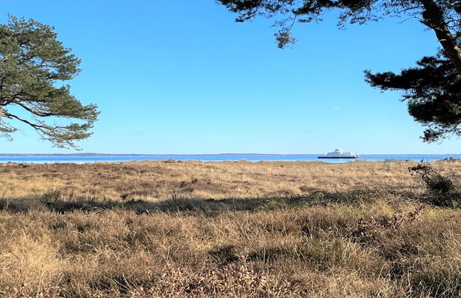 Casa de 4 quartos em Rørvig com terraço e sauna - Foto 17